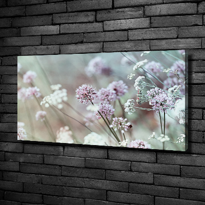 Quadro su tela Fiori selvatici
