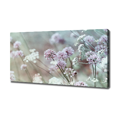 Quadro su tela Fiori selvatici