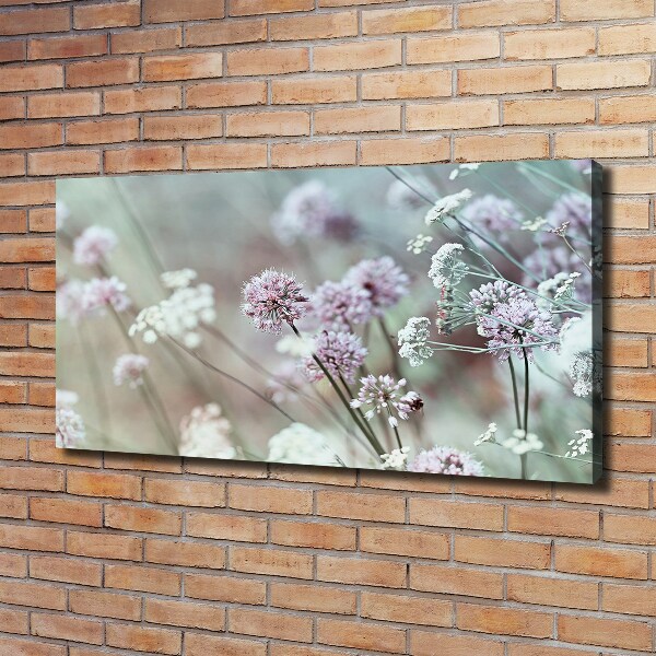 Quadro su tela Fiori selvatici