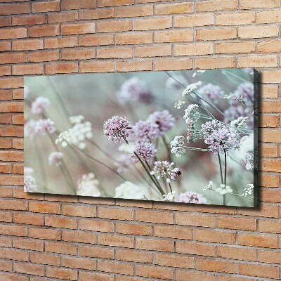 Quadro su tela Fiori selvatici