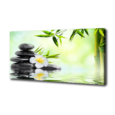 Foto quadro su tela Plumeria e bambù