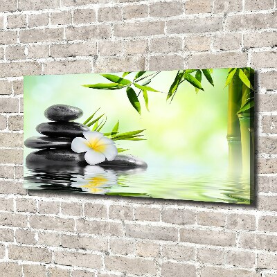 Foto quadro su tela Plumeria e bambù