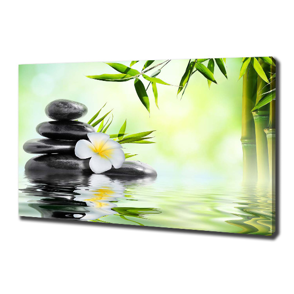 Foto quadro su tela Plumeria e bambù