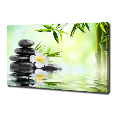 Foto quadro su tela Plumeria e bambù
