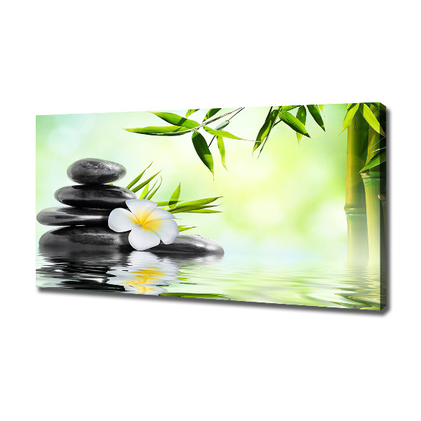 Foto quadro su tela Plumeria e bambù