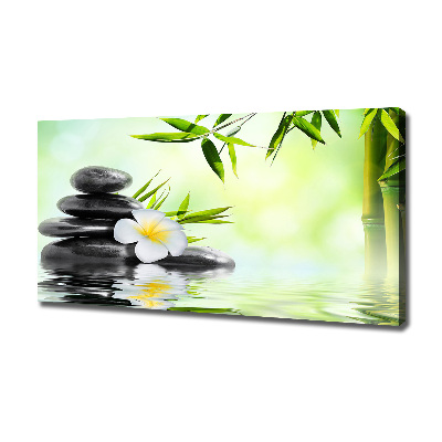 Foto quadro su tela Plumeria e bambù