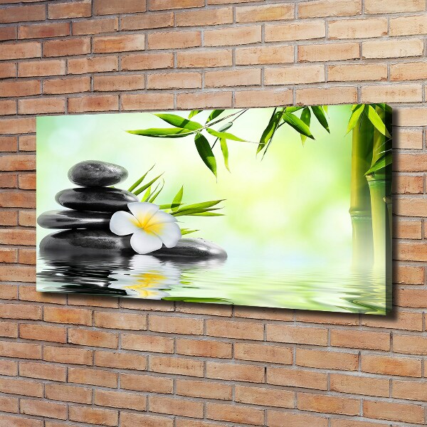 Foto quadro su tela Plumeria e bambù