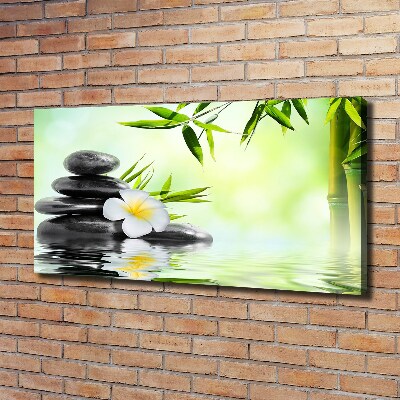 Foto quadro su tela Plumeria e bambù