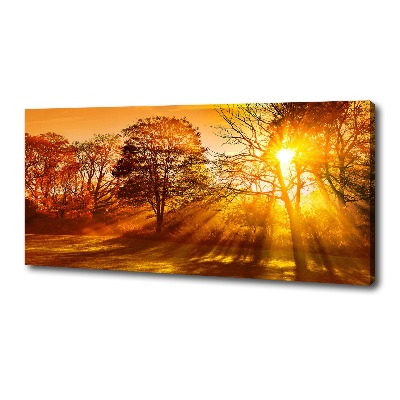 Quadro su tela Tramonto