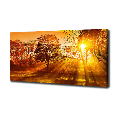 Quadro su tela Tramonto