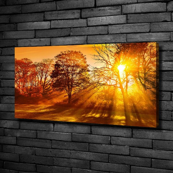 Quadro su tela Tramonto