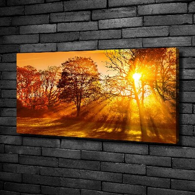 Quadro su tela Tramonto