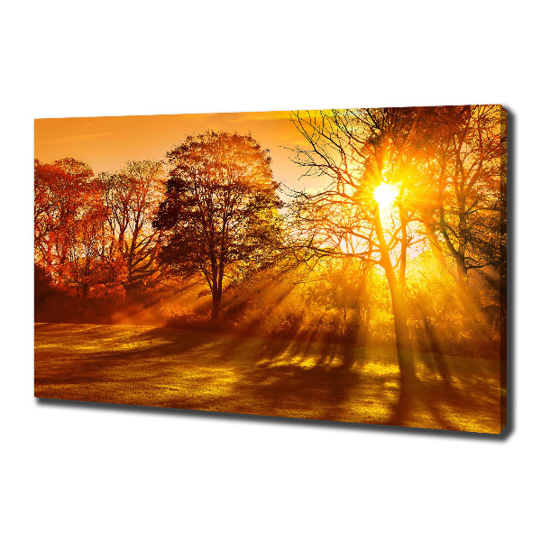 Quadro su tela Tramonto