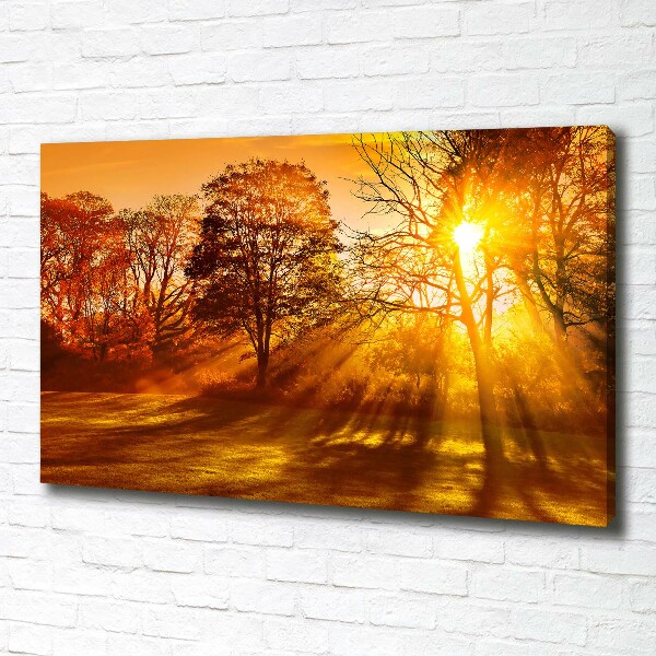 Quadro su tela Tramonto