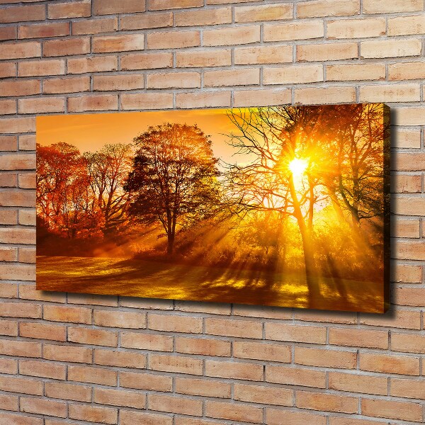 Quadro su tela Tramonto