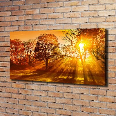 Quadro su tela Tramonto