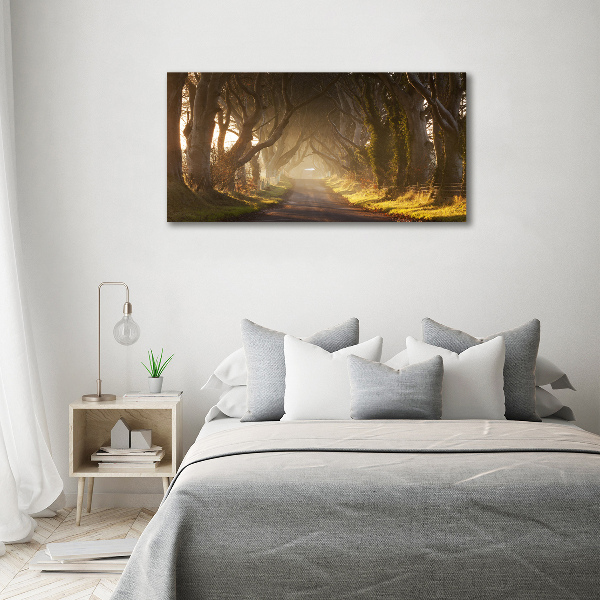 Foto quadro su tela Nebbia nella foresta