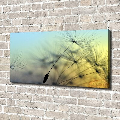 Quadro stampa su tela Semi di tarassaco