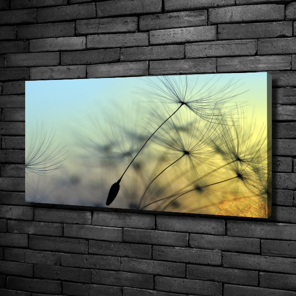 Quadro stampa su tela Semi di tarassaco