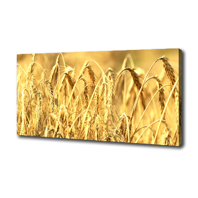 Foto quadro su tela Caffè