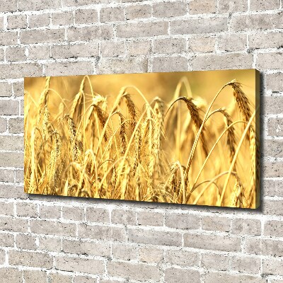 Foto quadro su tela Caffè