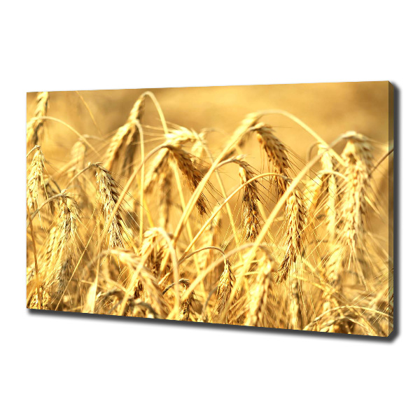 Foto quadro su tela Caffè