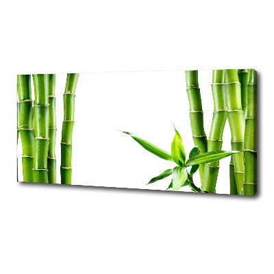 Quadro stampa su tela Bambù
