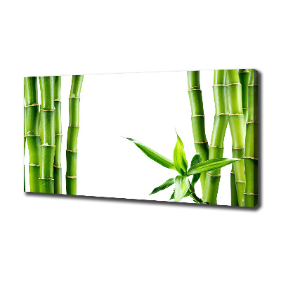 Quadro stampa su tela Bambù