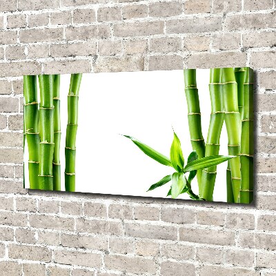Quadro stampa su tela Bambù