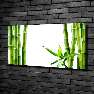 Quadro stampa su tela Bambù