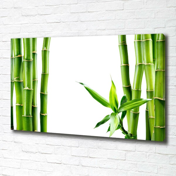 Quadro stampa su tela Bambù
