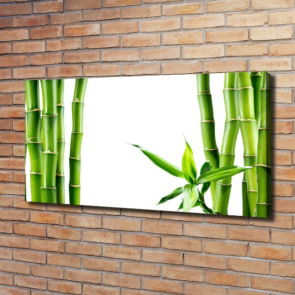Quadro stampa su tela Bambù