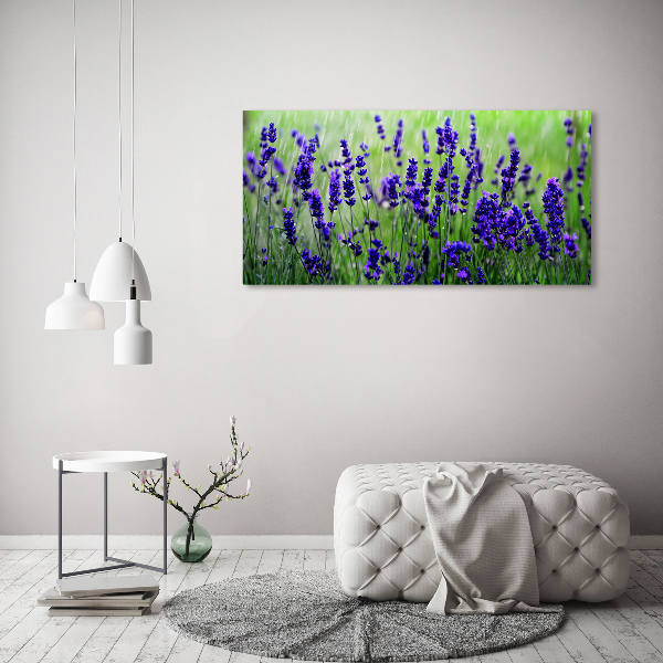 Quadro su tela Lavanda