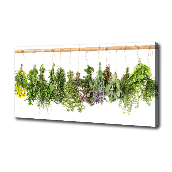 Quadro stampa su tela Erbe aromatiche su un filo