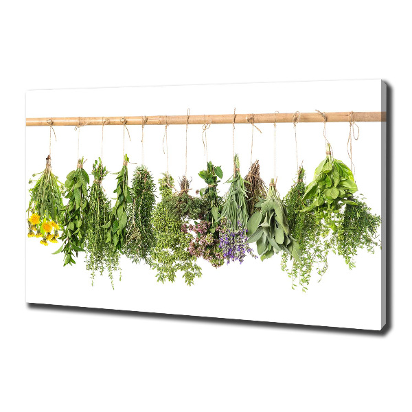 Quadro stampa su tela Erbe aromatiche su un filo
