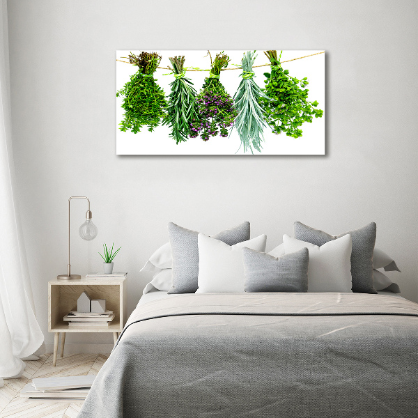 Quadro su tela Erbe aromatiche su un filo