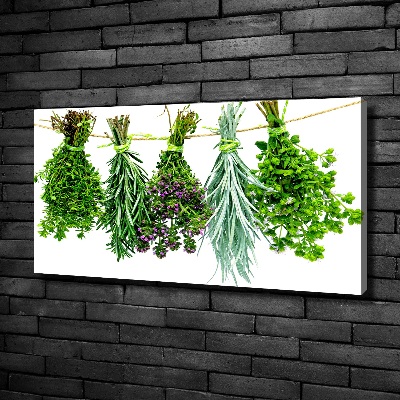 Quadro su tela Erbe aromatiche su un filo
