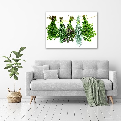 Quadro su tela Erbe aromatiche su un filo