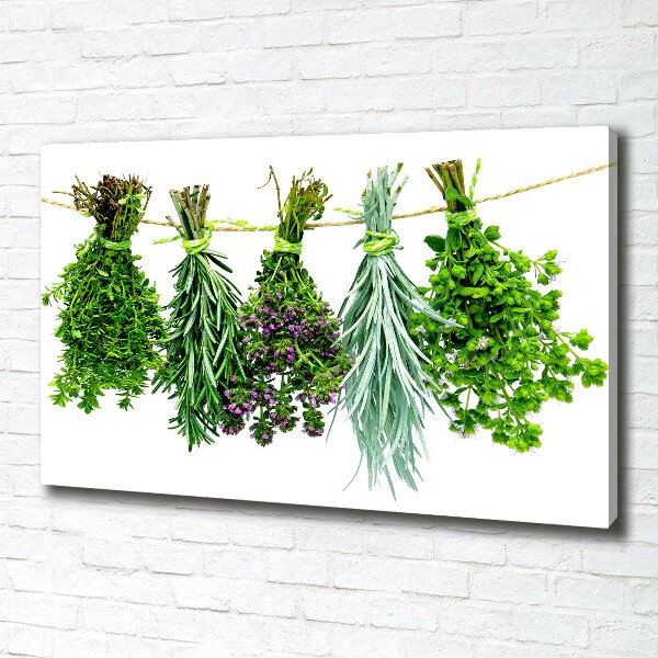Quadro su tela Erbe aromatiche su un filo