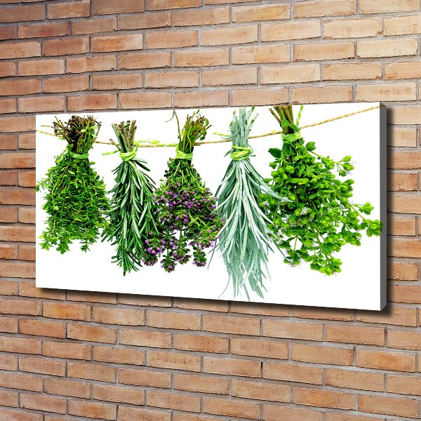 Quadro su tela Erbe aromatiche su un filo