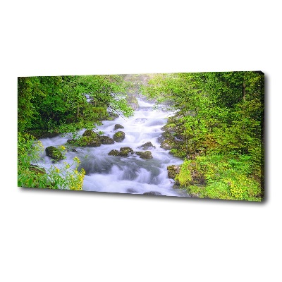 Quadro su tela Fiume di montagna