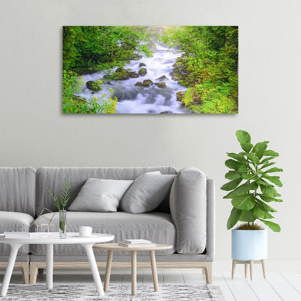 Quadro su tela Fiume di montagna