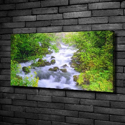 Quadro su tela Fiume di montagna