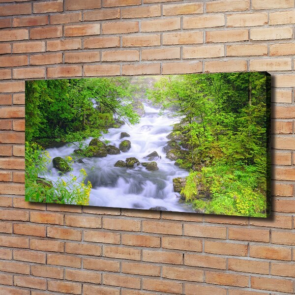 Quadro su tela Fiume di montagna