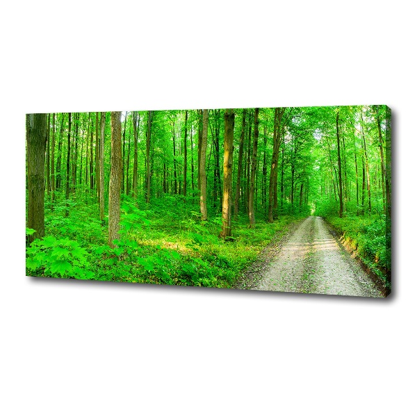 Quadro stampa su tela Alberi nella foresta