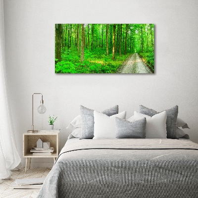 Quadro stampa su tela Alberi nella foresta