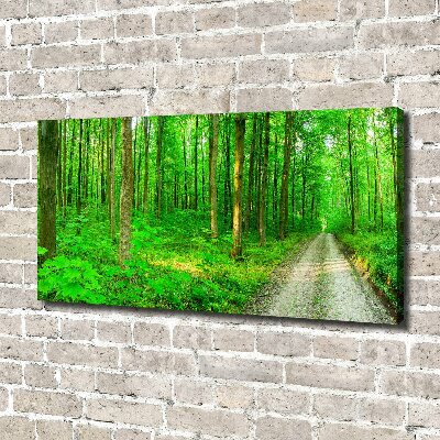 Quadro stampa su tela Alberi nella foresta