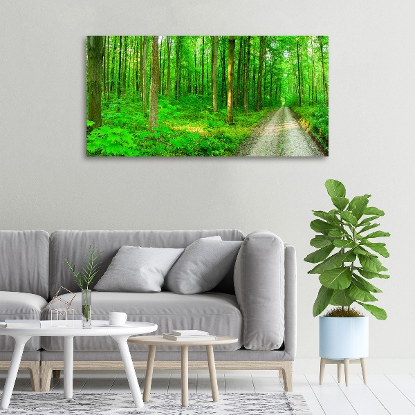 Quadro stampa su tela Alberi nella foresta