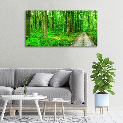 Quadro stampa su tela Alberi nella foresta