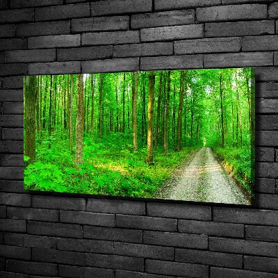 Quadro stampa su tela Alberi nella foresta